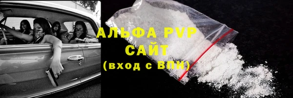 прущие грибы Пестово