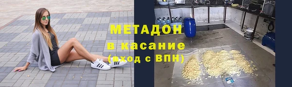 прущие грибы Пестово