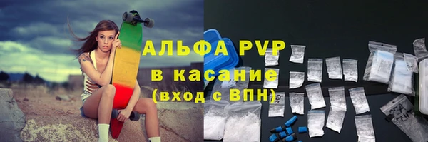 прущие грибы Пестово