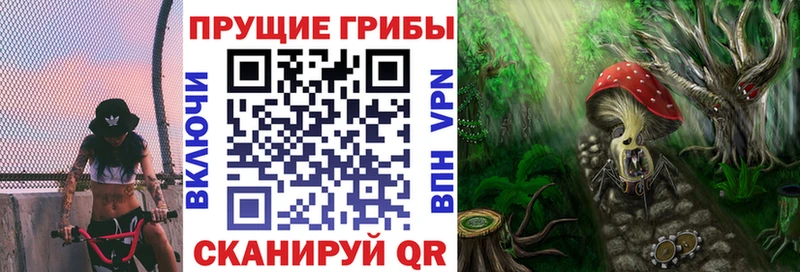 Псилоцибиновые грибы мицелий  купить наркотик  Верхняя Салда 