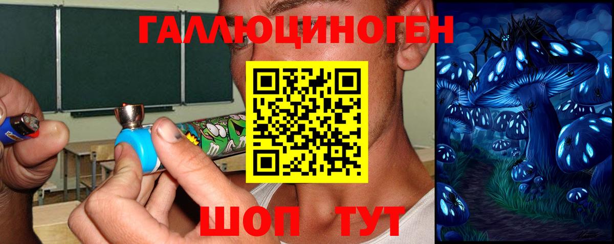 Галлюциногенные грибы GOLDEN TEACHER  купить наркотики сайты  Вход с VPN  Верхняя Салда  Псилоцибиновые грибы Psilocybine cubensis 